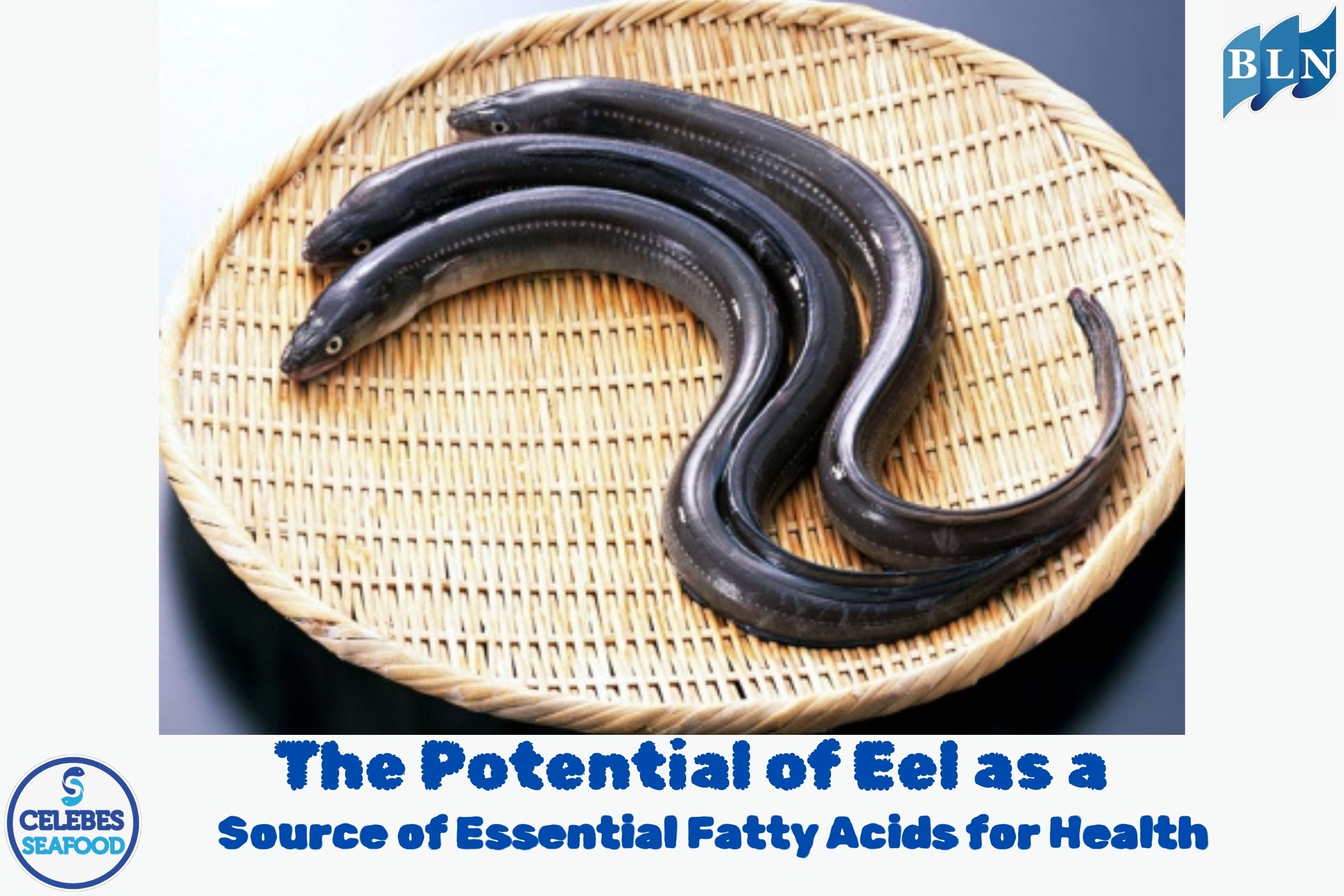 The Potential of Eel as a Source of Essential Fatty Acids for Health